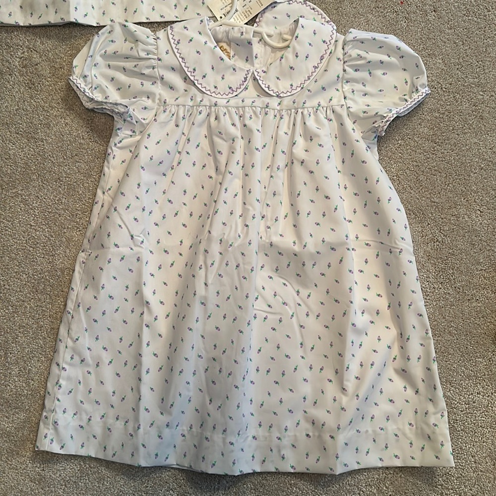 THE BEAUFORT BONNET COMPANY ADAIRE DRESS SIZE 18-24 months Valley Rose R…